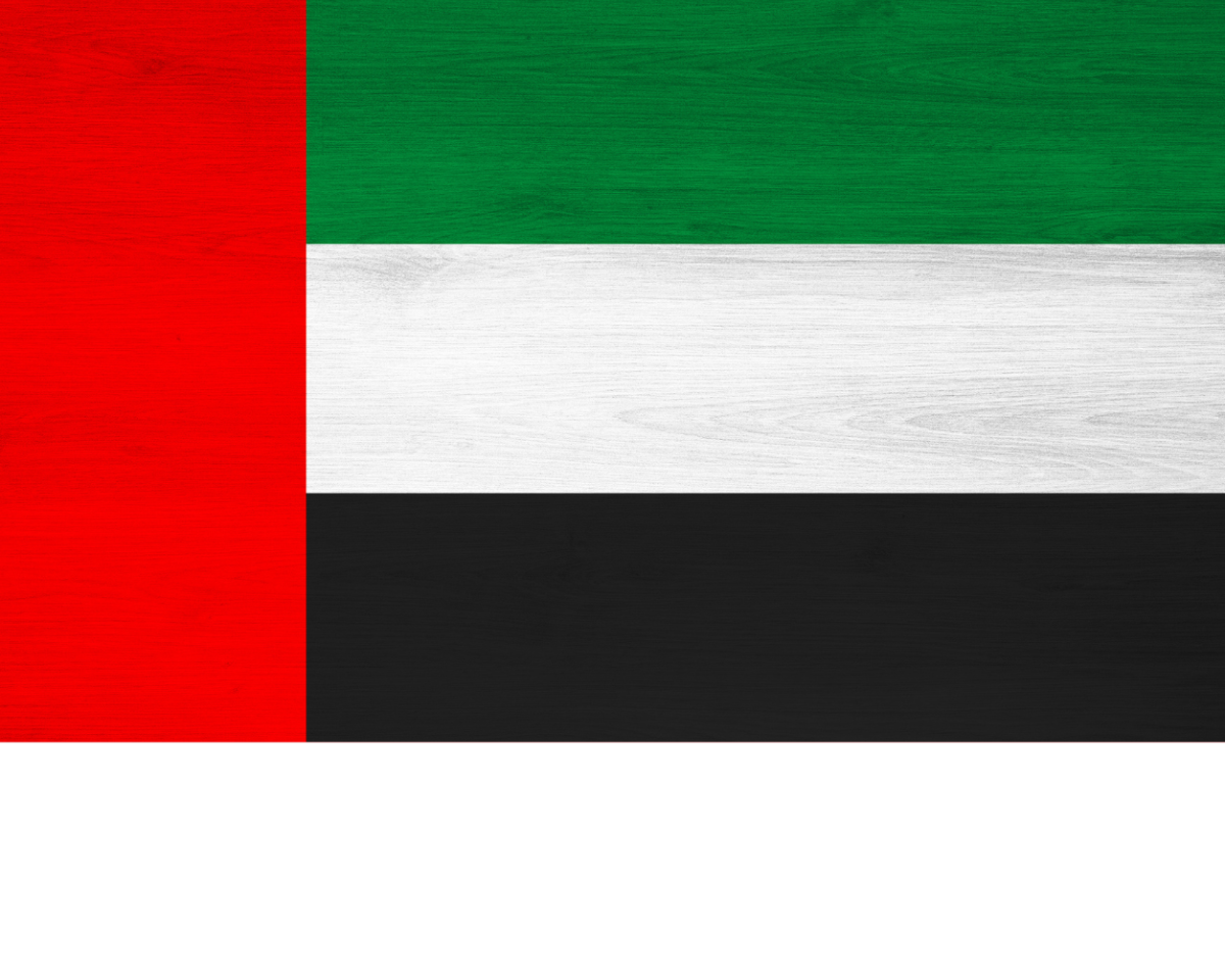 VẬN CHUYỂN HÀNG ĐI DUBAI
